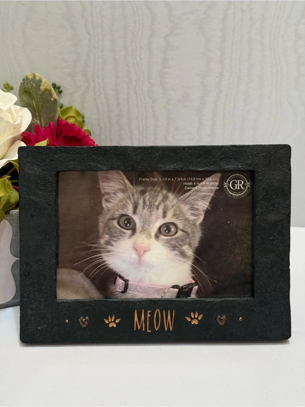 NEW Vintage Grasslands Road MEOW Faux Cement Kitty Cat Frame